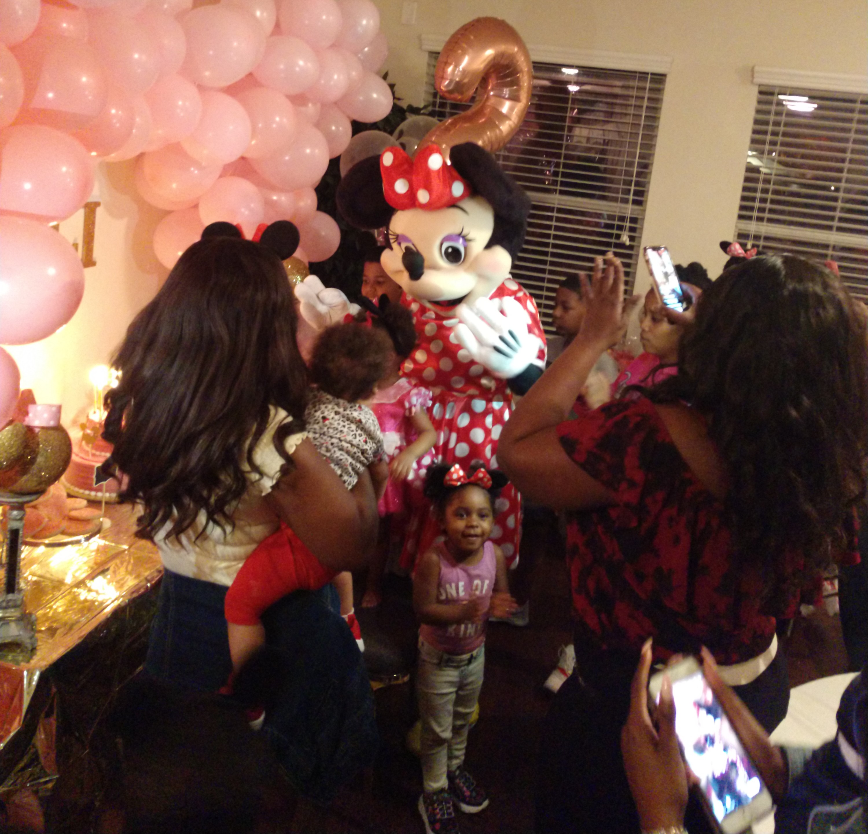 Hire our mrs. mouse mascot party character for your children's birthday party in Houston